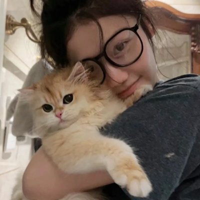 风骚律师第六季